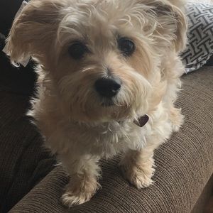 Meet your Posher, Nj